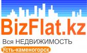 логотип  АН «BizFlat»