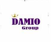 логотип  СК «DAMIO Group»